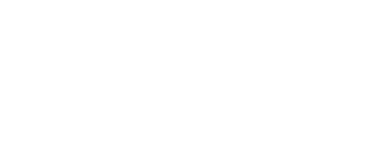 logo Domnexx blanc