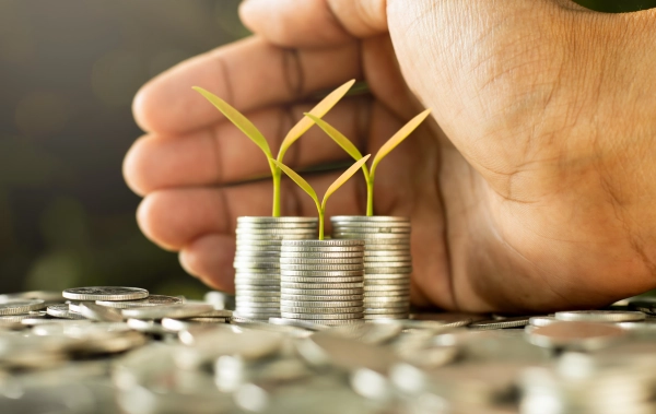 schützende Hand mit Münzen und Pflanzen soll Energieeinsparungen symbolisieren