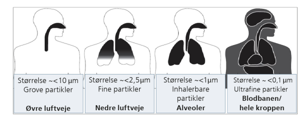 Table of particle sizes